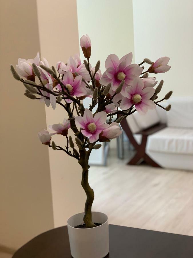 Apartament "Marka" بيوا المظهر الخارجي الصورة